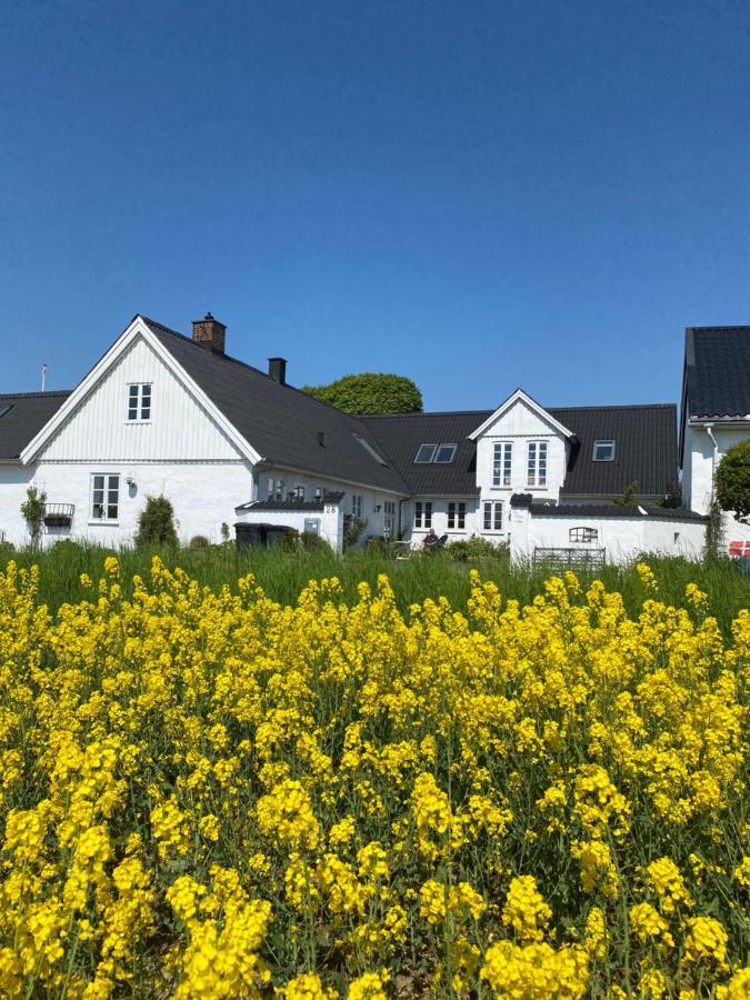 Vejle Golf Apartments ボルコップ エクステリア 写真