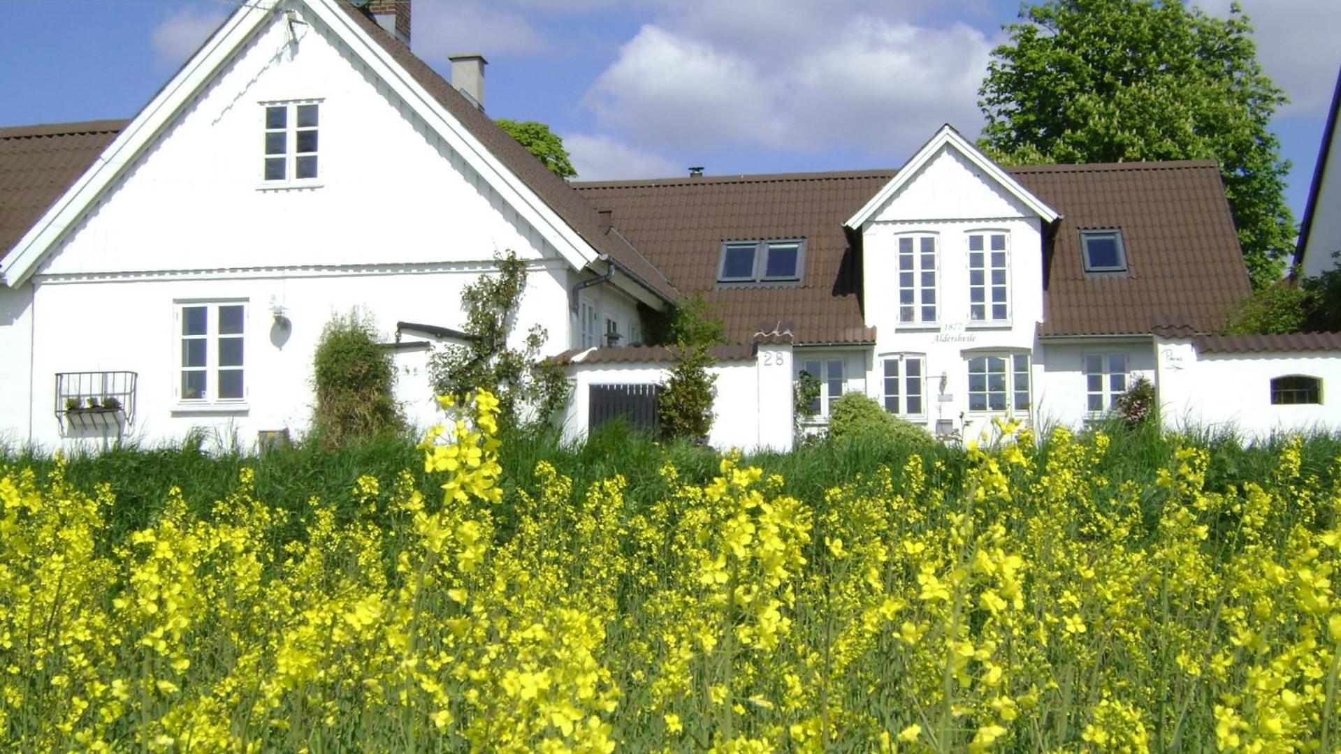 Vejle Golf Apartments ボルコップ エクステリア 写真