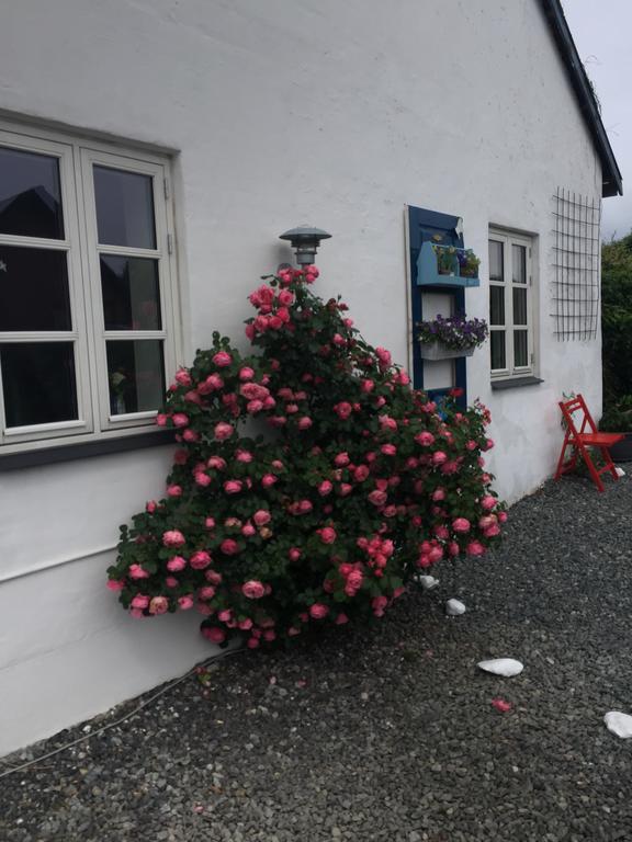 Vejle Golf Apartments ボルコップ エクステリア 写真